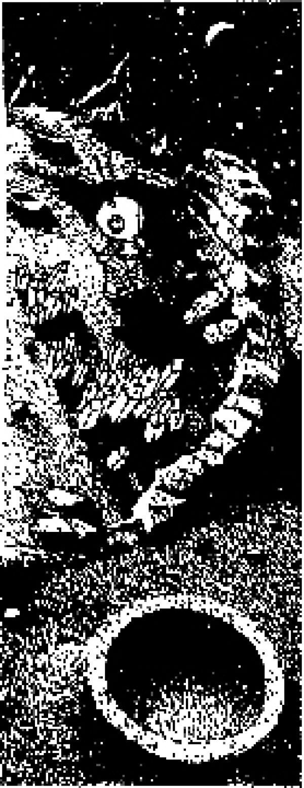 46a079b14de12880.jpg