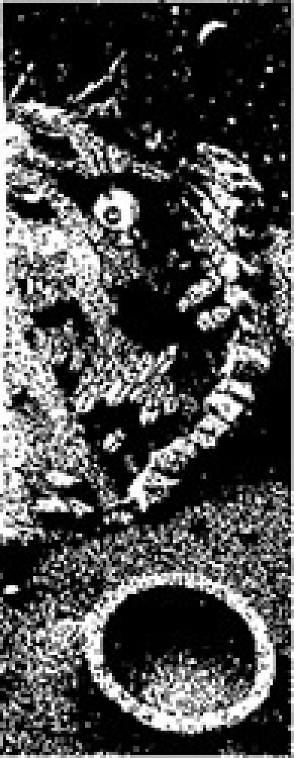 b235b2165322f119.jpg