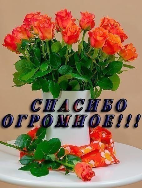 841e8d3c557857449919db000a9fcef9.jpg