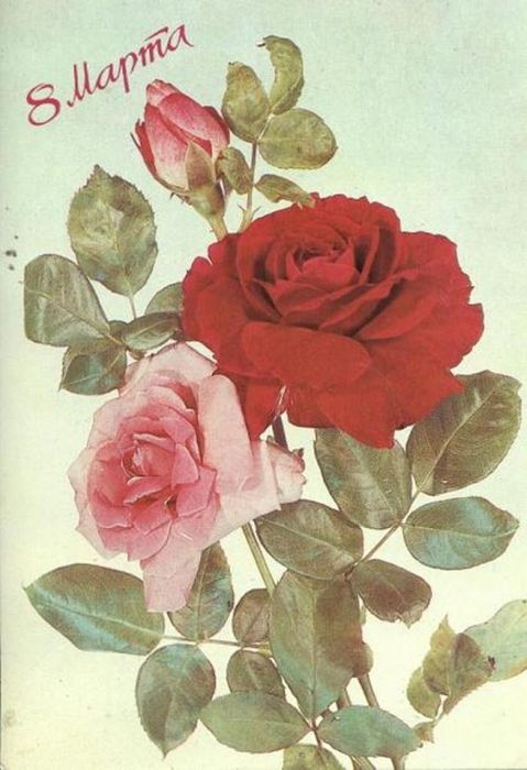 c34488fc7c18c3fee504ac9701eb8e72.jpg