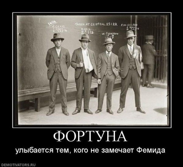 23f5e55d0d76308f96a6124771918562.jpg