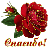 ed617409e10f03b6968d5e7ca3fe3312.md.gif