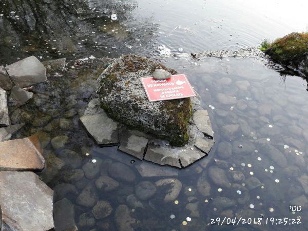 65ce927b0cf7a8fd65f13ca6f09ede0c.md.jpg