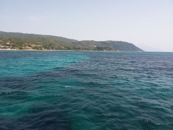 ee63e287c41c75b857cf8cd6ad64e635.md.jpg