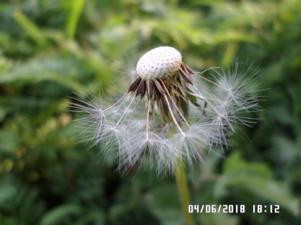 3fcf8585aab972d7d68135f0ff96e420.md.jpg