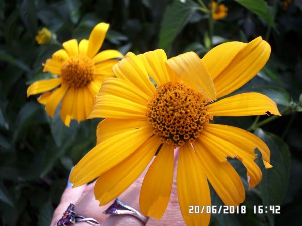 9f57c8e7586e46b79c8f29f2368fb59b.md.jpg