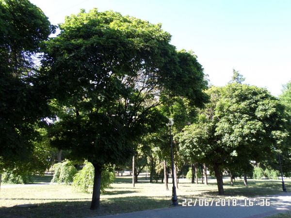 f57d88be53ae91f7ce0d6ef66ae48522.md.jpg