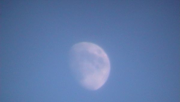 962172f18922e2efd80272f345c2392d.md.jpg