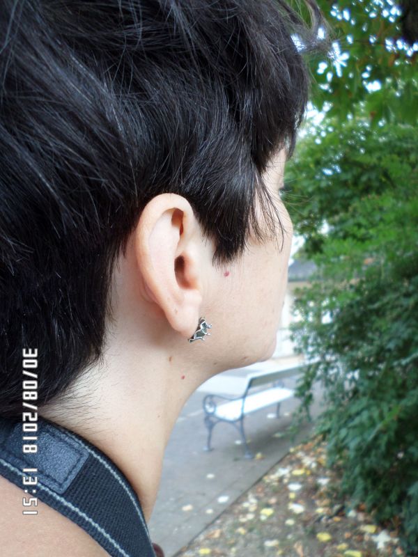60bb4864b4fc8c77bb9eb3e18184de0e.md.jpg