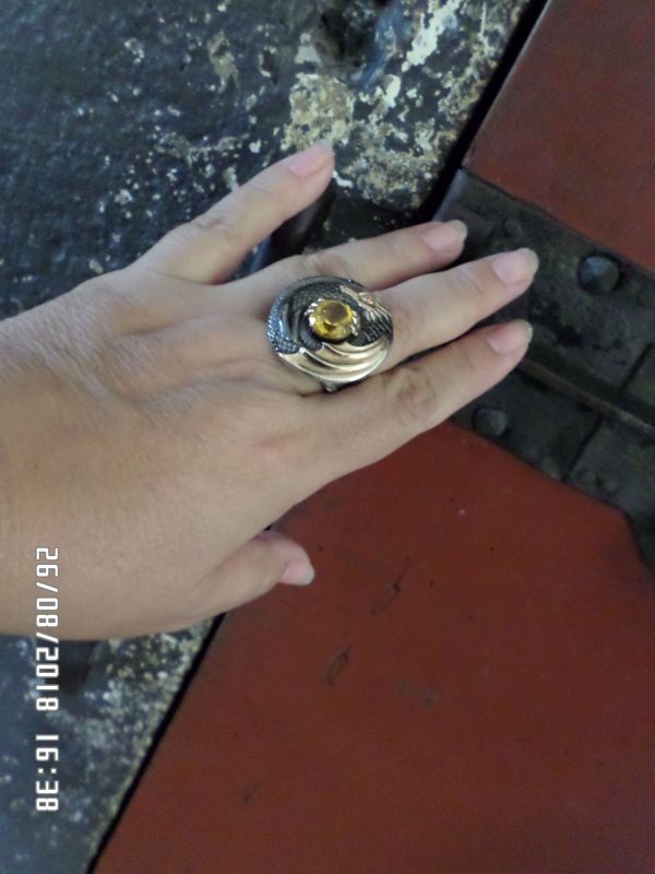 a3dfa7eb7134cb463fa7583c2f4ae6f0.md.jpg