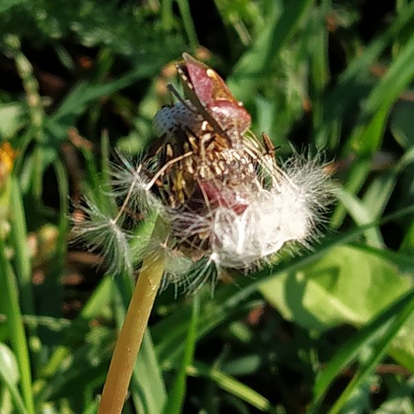eeae2b775c3f78811d12e22247458c31.md.jpg