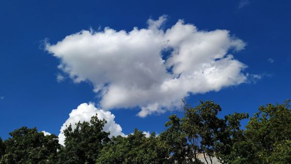 ad7692be1ccf5ca4a2d05dba96d707c7.md.jpg