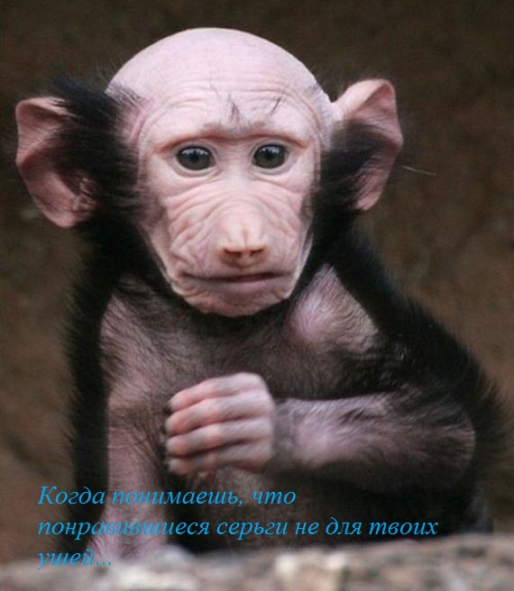 50ab9c6d0e90fc3c6bc036af595c508a.jpg