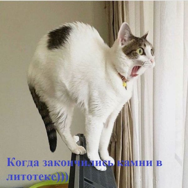 5166658f9d8b3b1b9488588383e6475c.jpg