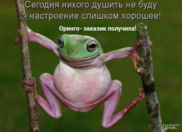 26ad7786d872b8a62e0a612d2d960f3c.jpg