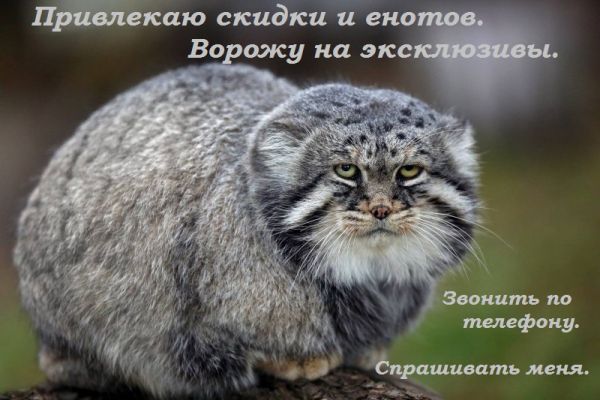 e090da8ec9cc16ed1213150456b8e2b7.md.jpg