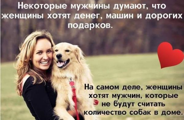6dd4392723e0f7b6caa342555d0b81df.md.jpg