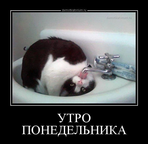0a596595e927bb0987e941ab28469ab7.jpg