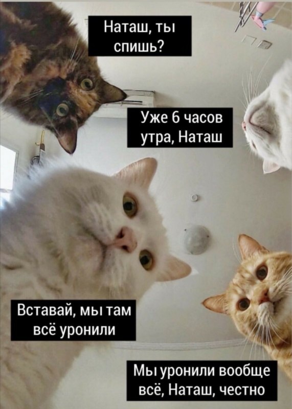 42b64d31d91057f0ae156f2e3edf3656.jpg
