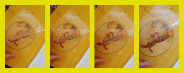 d414bdc2bd28d283a07095d2f129db6c.md.jpg