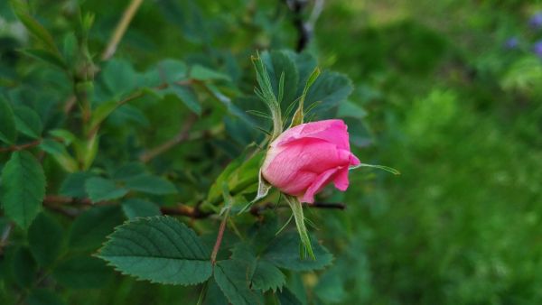 e748cc2e8db4baf5157acd7dea0eaf6f.md.jpg