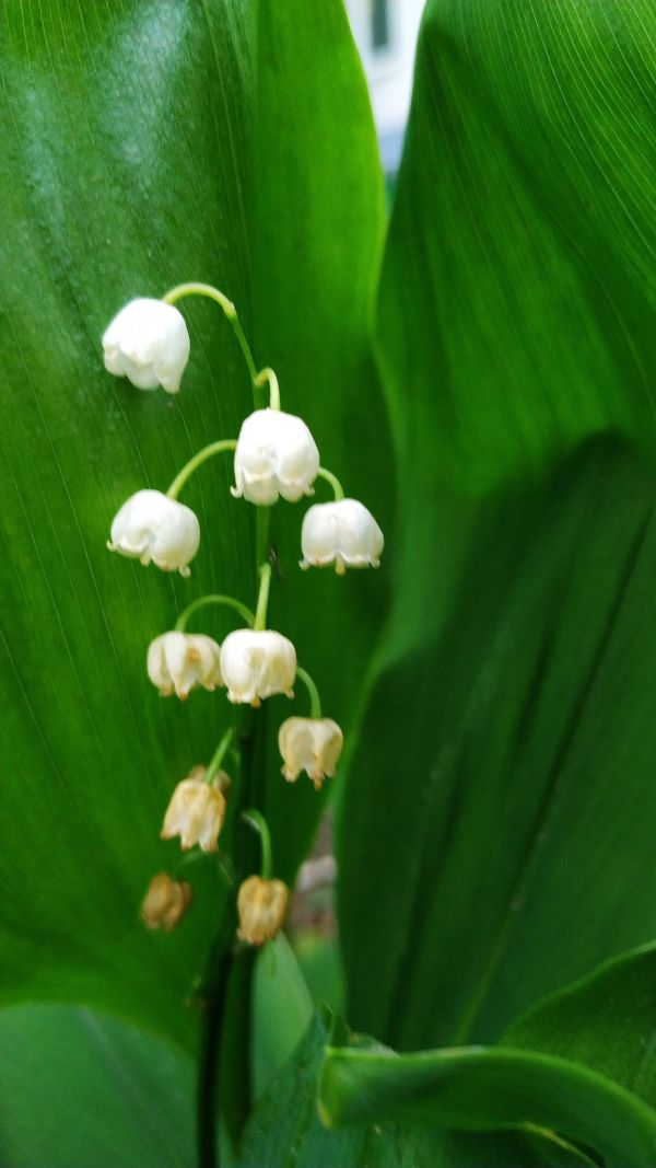 eab0cf7b26493fe632220f919007ad3f.md.jpg
