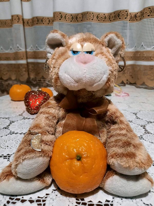 ce6925574dd248a41ffeaeeb36b0884f.jpg