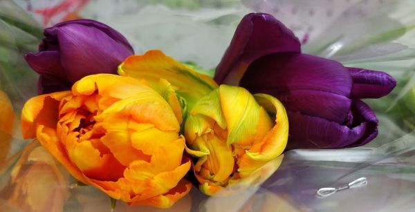 03c27fa3aced74cf2a753f06cc3a7679.md.jpg
