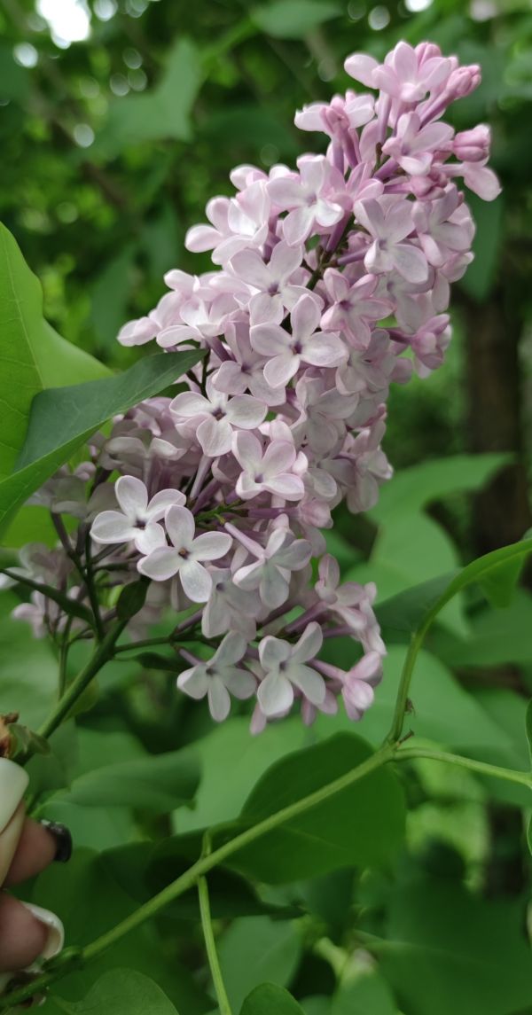 edeba007dc7cc9101530cbb52dbb87b1.md.jpg