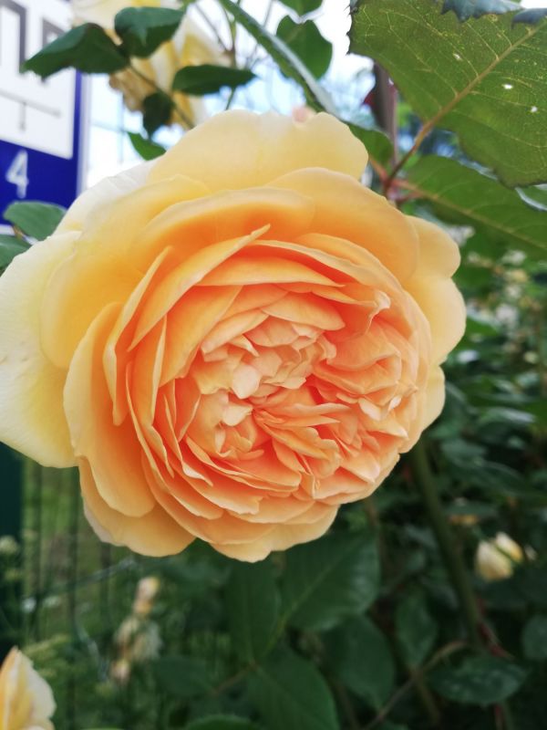 d58e43e6e31e7a79a15e0a54e1c1de86.jpg