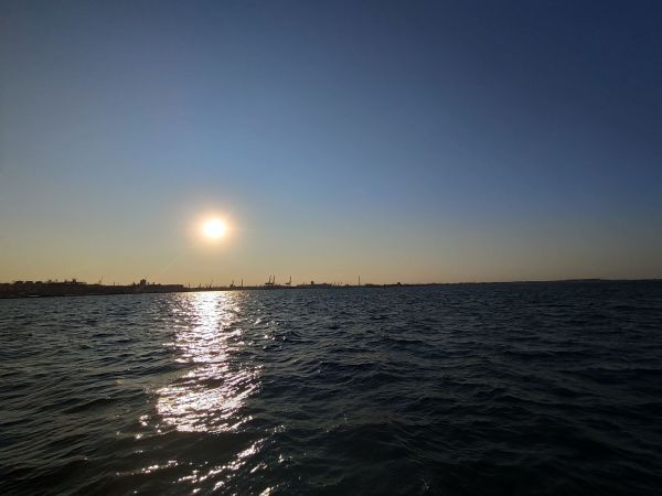8ac954701ed90ddb1278923c87901850.md.jpg