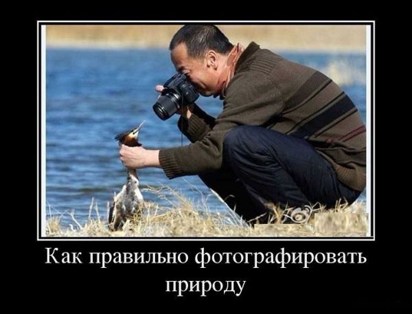 89c74a03d8b8152ea23d34b9786d4b1d.md.jpg