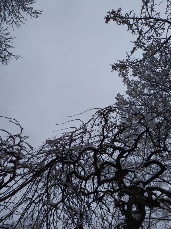 7a498fdcbded2f3269244b6d88bf84b5.md.jpg