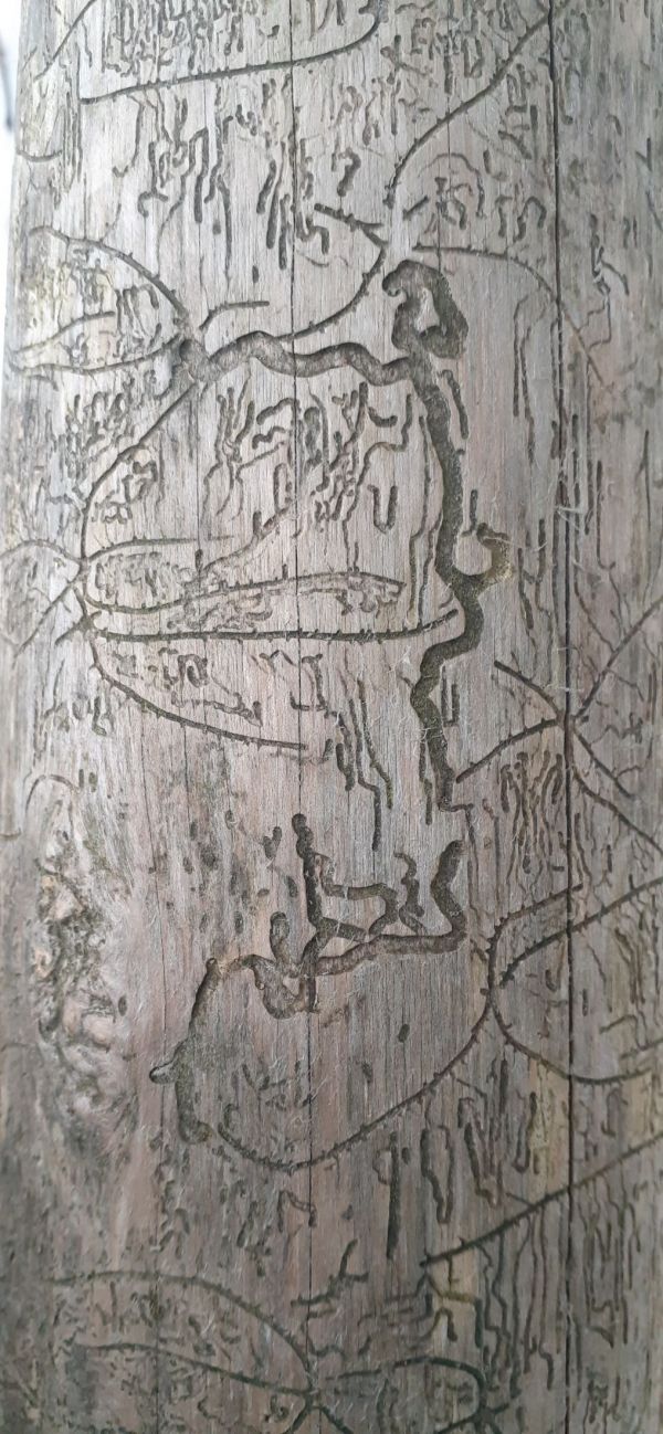 40ac48e03fb394e868e270106e859207.jpg