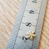 038c661403a3057b81558e650cccfaff