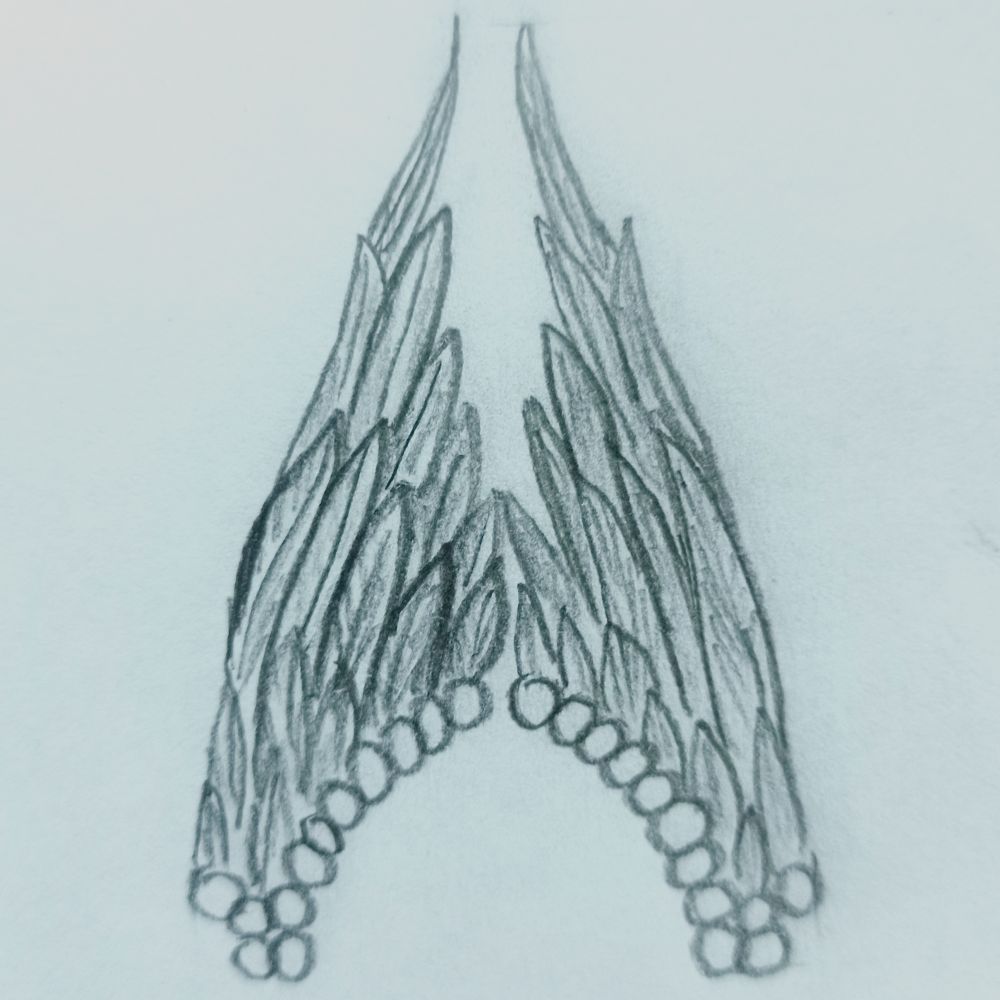 74c1af2e547de00f1046ae44a5c66ed5.jpg