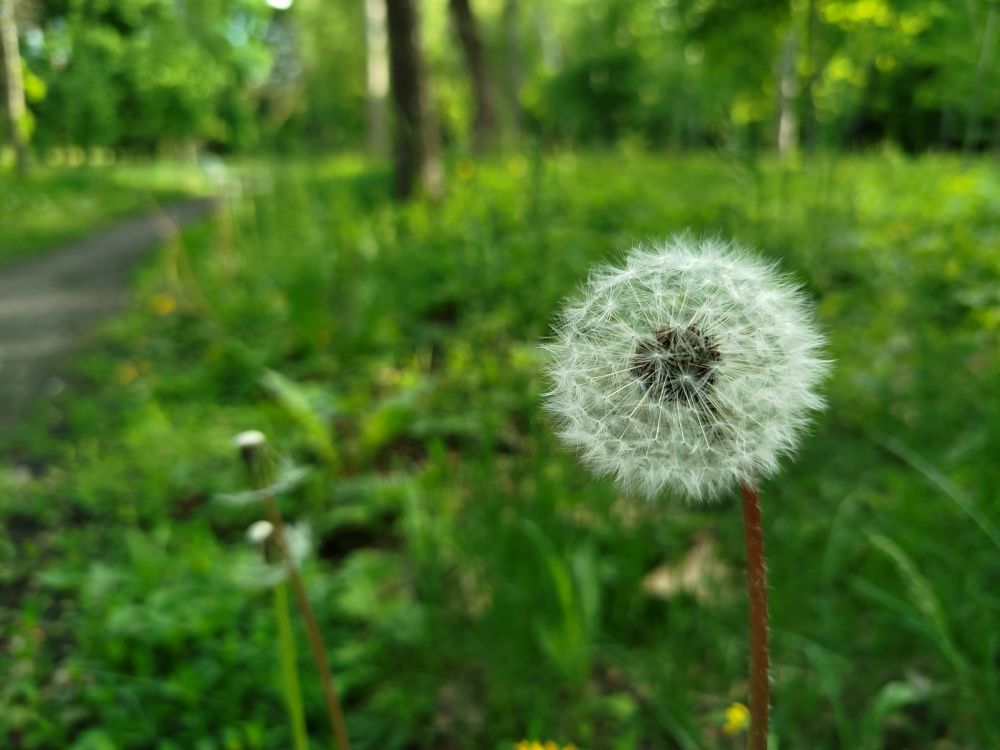8b343ab5a2f92fb04e3b704515a395c5.jpg
