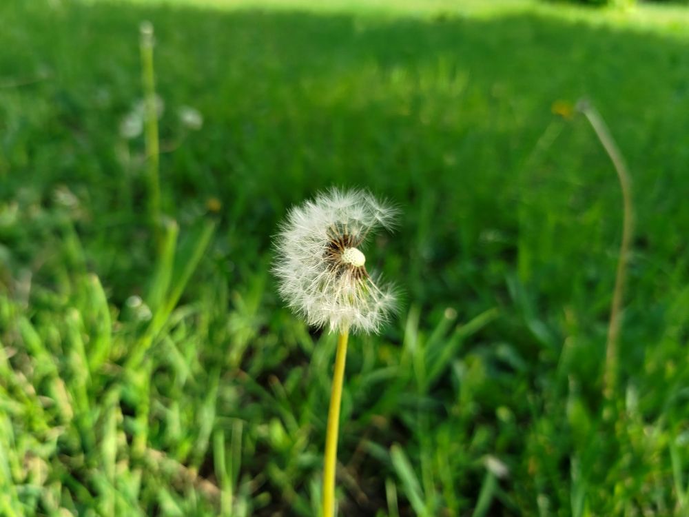 e7df66e819ff2c116a1d5789dc149a2f.jpg