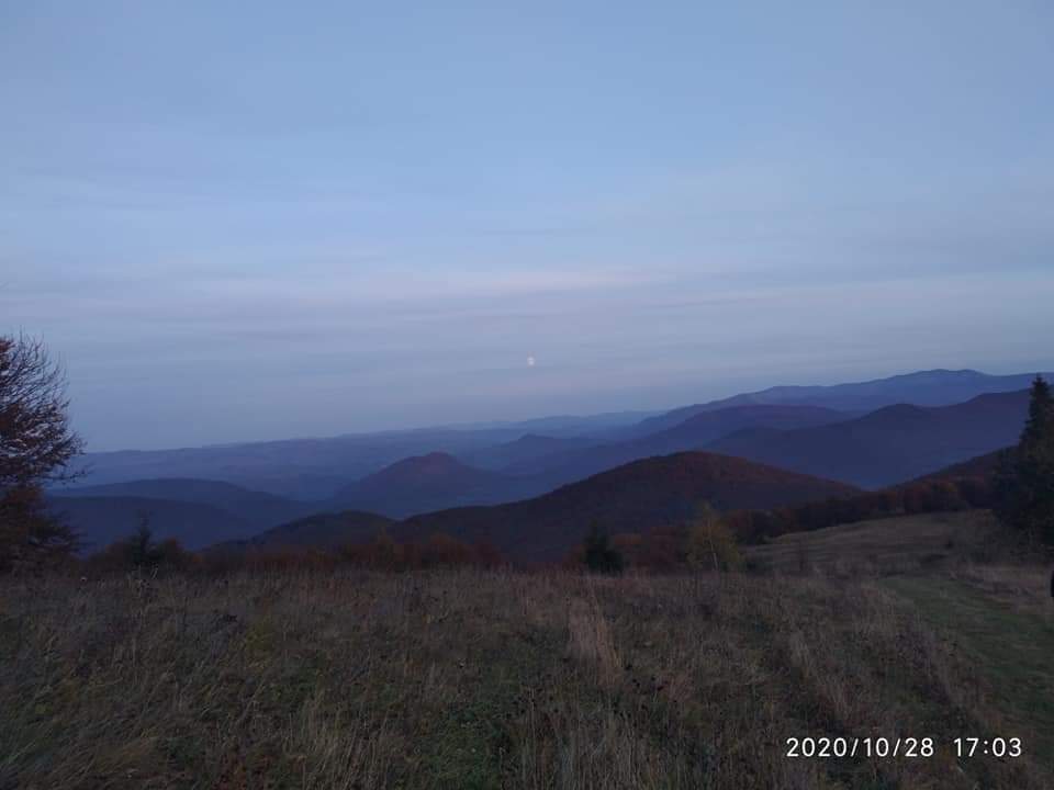 783af2292a3f5826aea3d84caecb4058.jpg