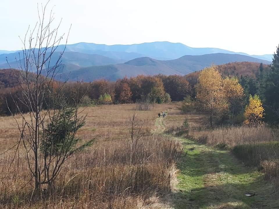 e34065ba54ff4f91645453525c816566.jpg