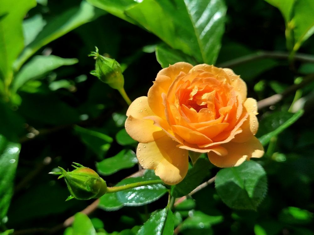 ad79c572b19142557b0e5afd5aa2543d.md.jpg