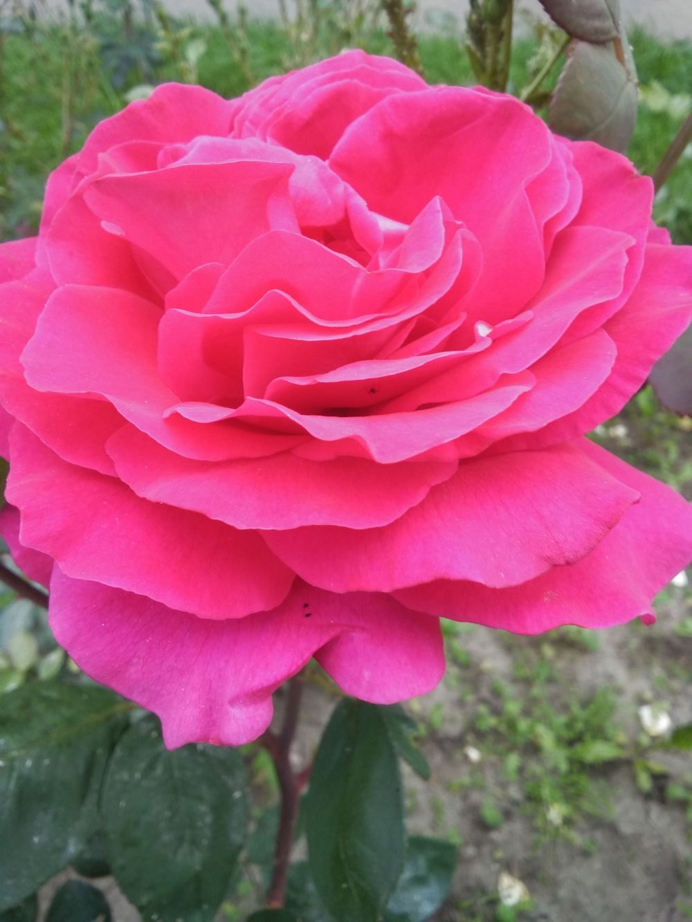 683d096c73968b942677b5f8ea058312.jpg
