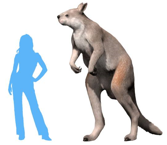 f9657c4f92e73ee597b5e7c8761c9d74.png