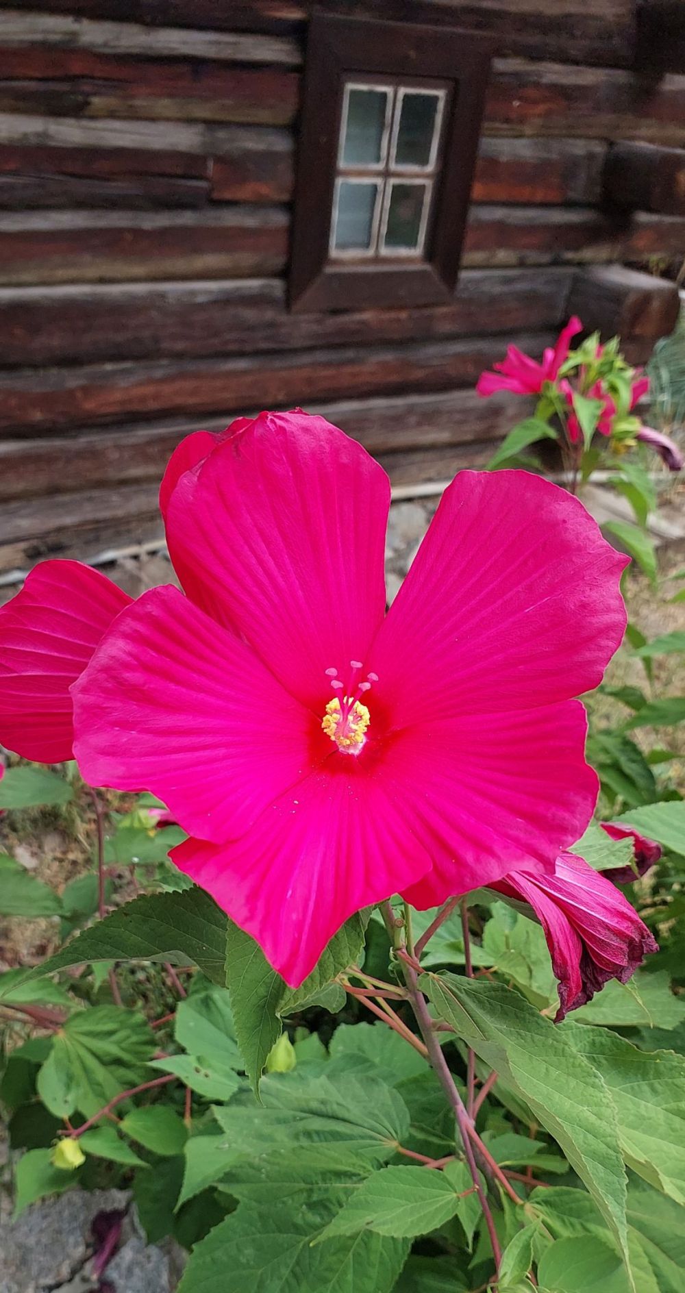eb1f599b8256362c0addff8090f1636a.jpg