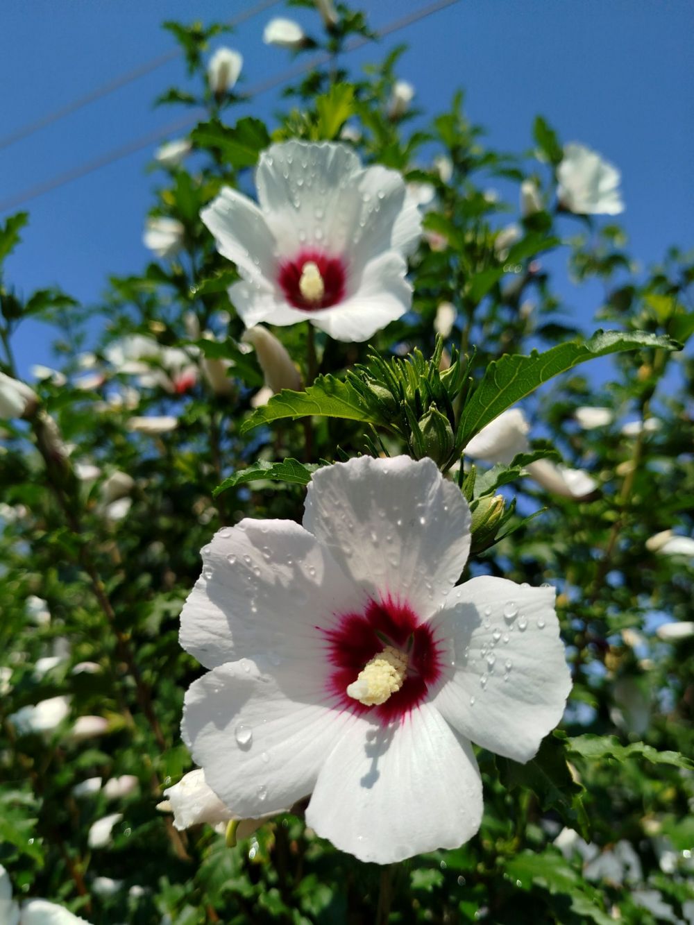 54f6f8f3a0d0cd4d2b4586bca6d168d1.md.jpg