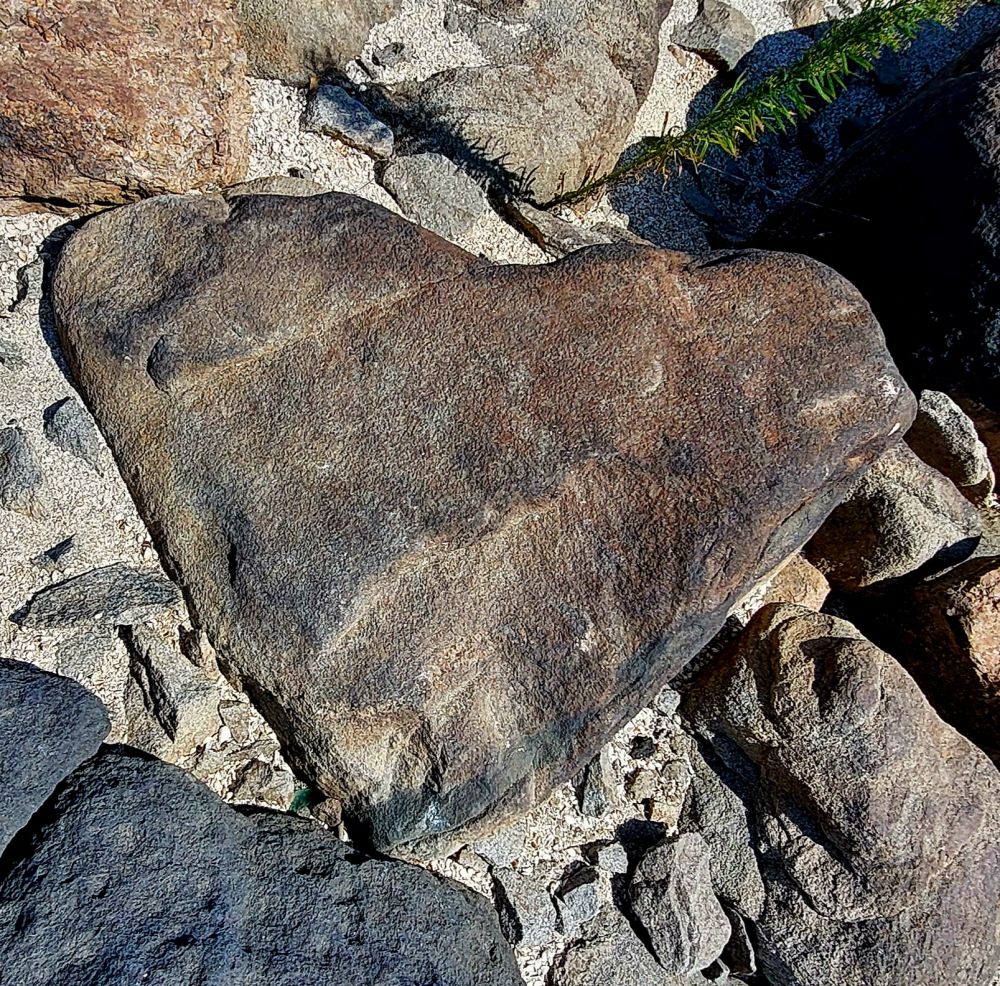74116049ca20fd5a93d25d3e1a659d3e.jpg