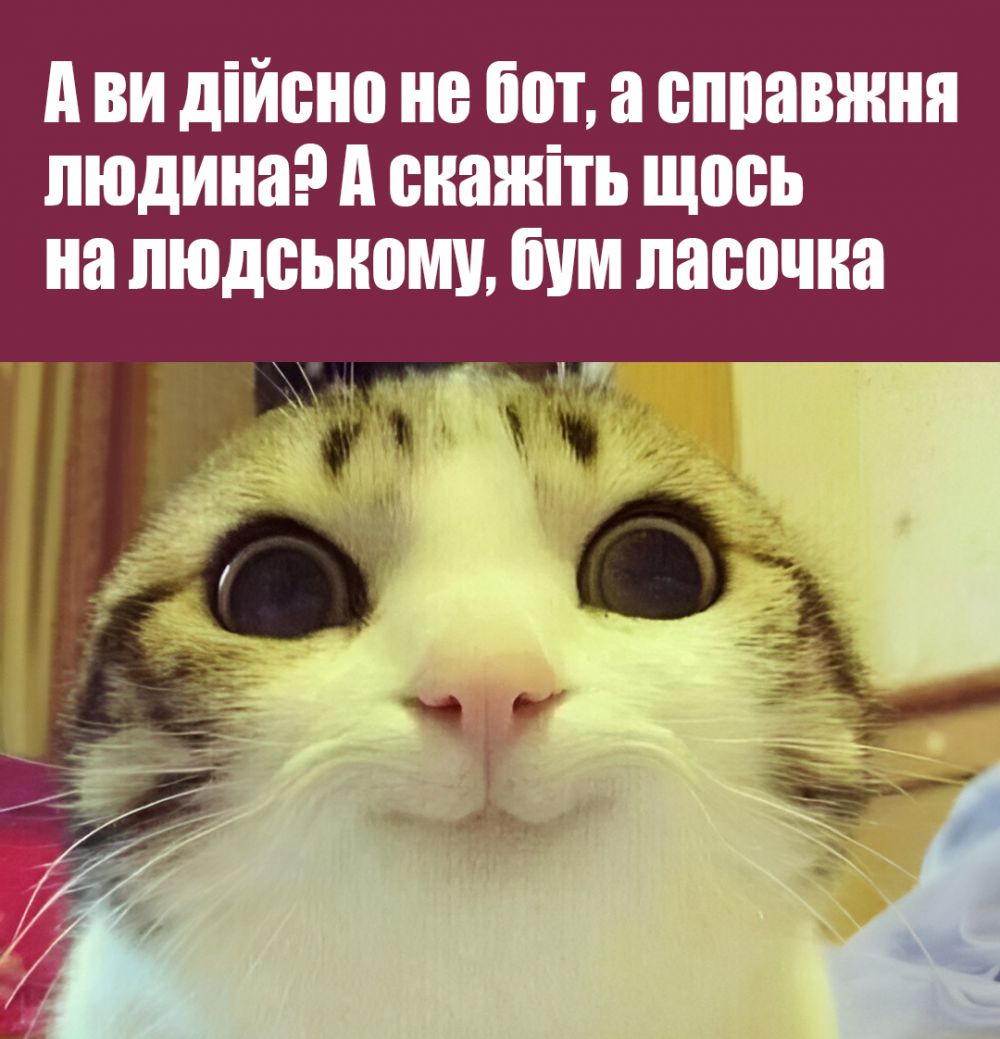 a272a812e9e617c8fe702eb8c143cb01.md.jpg