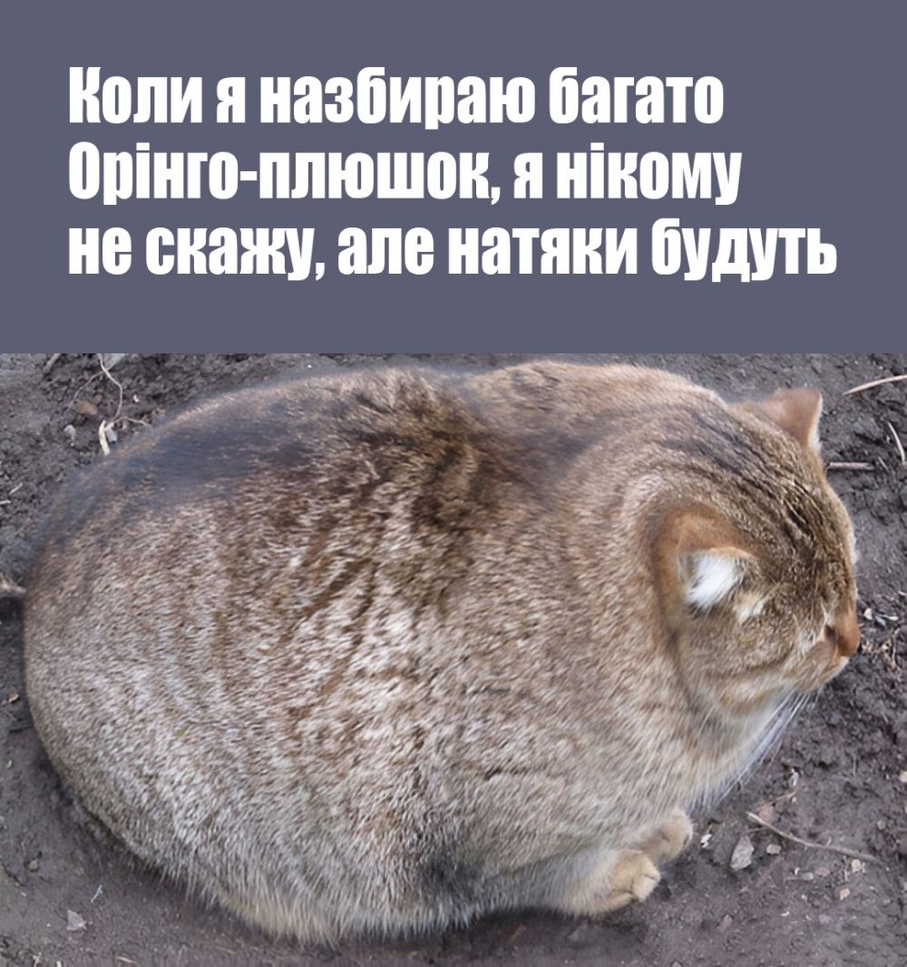 cb6a86ac7a3124325d329eb4eda4ad89.md.jpg