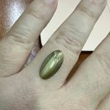 2c1bf55d2e5ef17516124089973a90f3